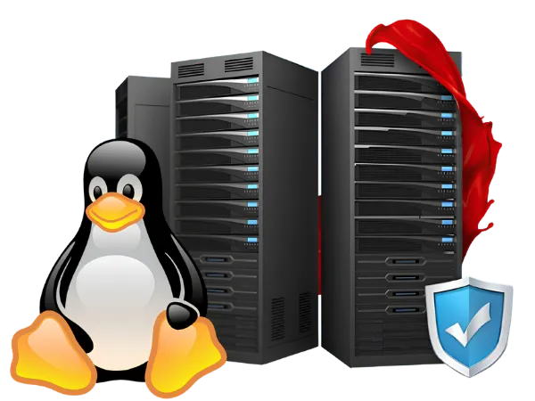France VPS